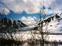 Alaska-Denali-NP_JDuk.jpg