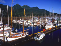Juneau_CVB_Juneau_Harbor.jpg