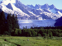 Juneau_CVB_Mendenhall_Glacier.jpg