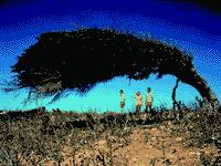 ARUBA7.jpg
