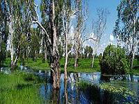 Kakadu-National-Park---Nort.jpg
