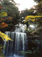 Mount-Field-NP_JDuk.jpg