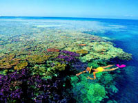 great-barrier-reef.jpg