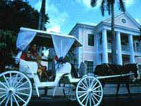 Surrey-Ride-Through-Nassau1.jpg