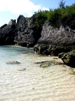 Jobsons-Cove-Bermuda.jpg