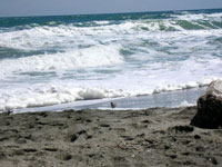blackseacoast.jpg