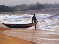 The Cameroon coast