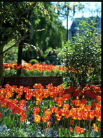Tivoli_Gardens_-_Tivoli_Henrik_Stenberg.jpg