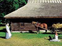 estonian_open_air_museum_c_Toomas_Volmer.jpg