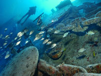 KeyLargo-SpiegelDive_wwwfla-keyscom.jpg