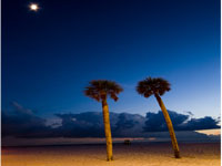 Clearwater by moonlight