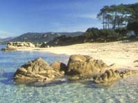 corsica.jpg