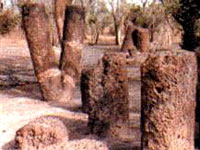 stonecircles.jpg