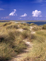 Beach-List-Sylt.jpg