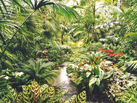 palmengarten.jpg