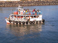 elephantaboat.jpg