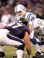 colts.jpg