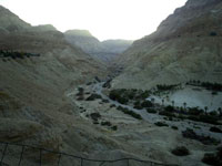 Judean_Desert-WadiDavid.jpg