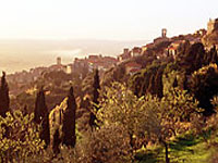 cortona.jpg