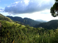 BlueMountains.jpg
