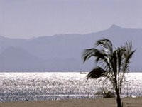 lakemalawi.jpg