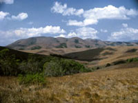nyika.jpg