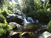 zomba-plateau.jpg