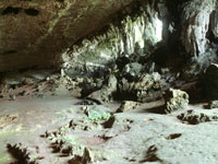 niahNP.jpg