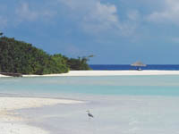 cocoa_island_beach.jpg