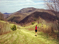 appalachian-trail.jpg