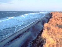Cape-Cod_-_NPS.jpg