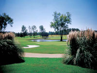 AnnandaleGolfClub.jpg