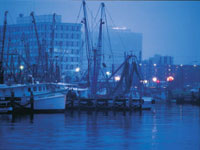 MSgulf-coast.jpg