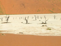 SossusDeadVlei-JD.jpg