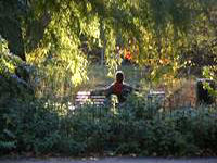 vondelpark-amsterdam.jpg