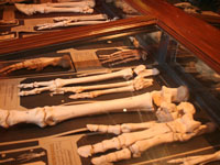 bryggenmuseum.jpg