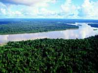 Amazonas_river.jpg
