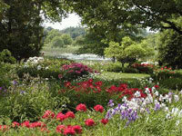 botanicalgarden-Mtl.jpg