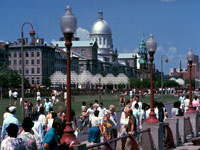 montrealview.jpg