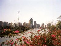Australia-Brisbane__JDuk.jpg