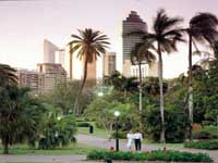 brisbane-botanic-gardens.jpg