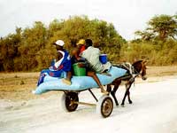 cart.jpg