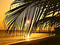 sunset.jpg