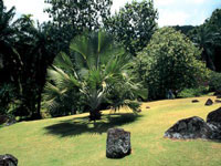 mahe-botanical-gardens.jpg