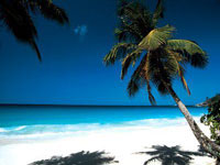 mahe-island-anse-intendance.jpg