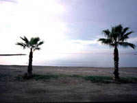 Malaga_-_Paseo_Maritimo_2.jpg