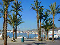 alcudia.jpg