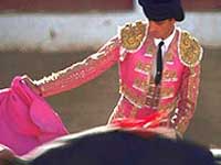 bullfight.jpg