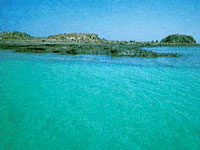 corralejo.jpg