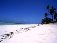 jambianibeach.jpg